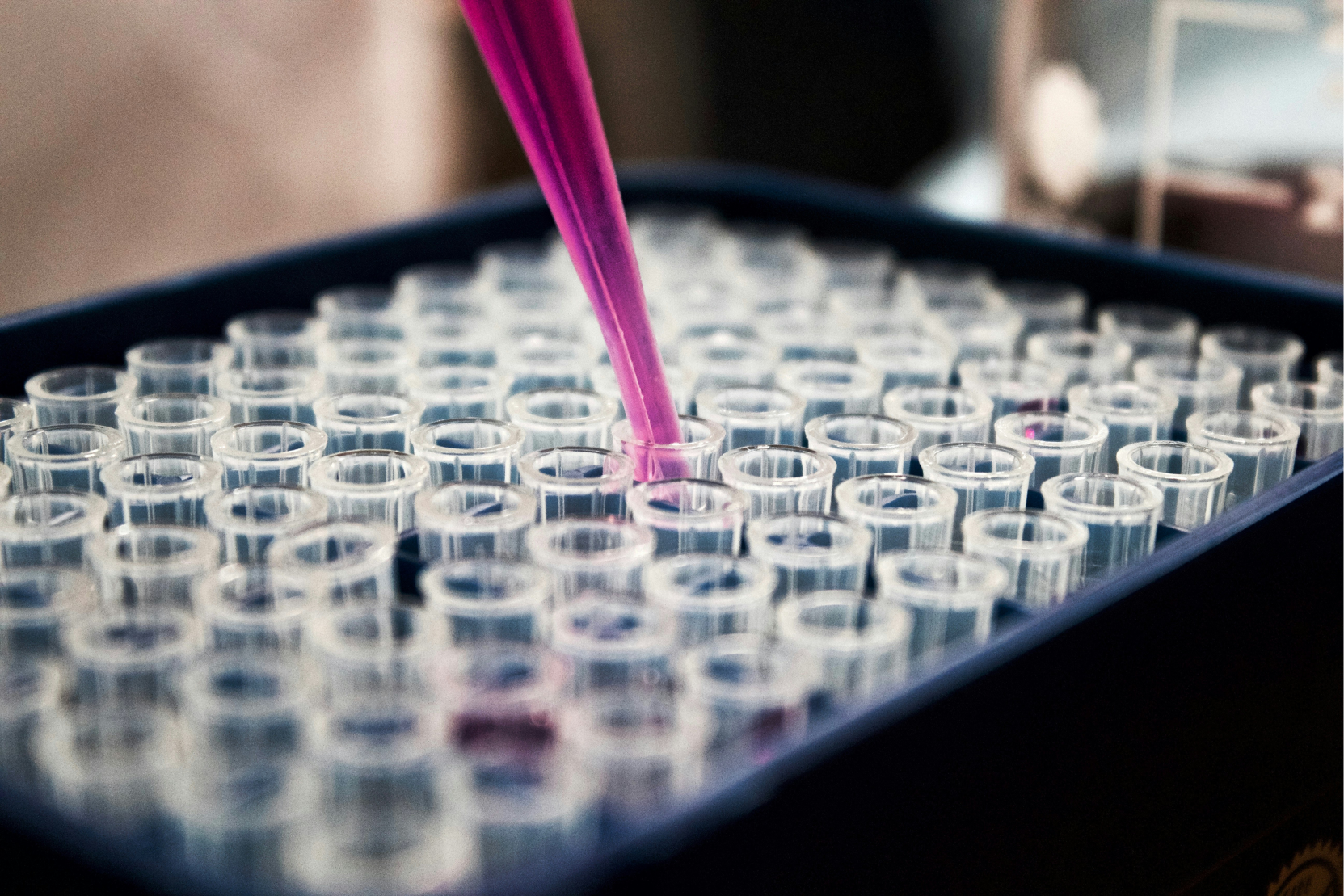 pipette and vials